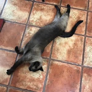 Meet your Posher, Deborah